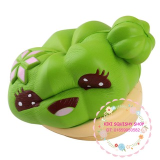 Squishy chậu xương rồng