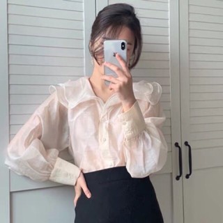 Áo sơ mi si tuyển chọn