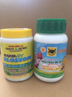 Combo 2 lọ phân bón lá NPK 100g