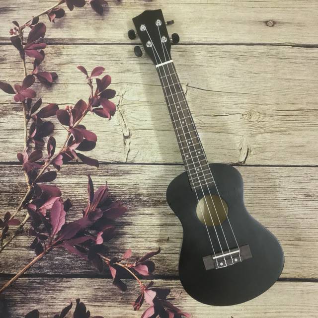 Đàn Ukulele Concert Woim Size 23 Inch Đủ Màu