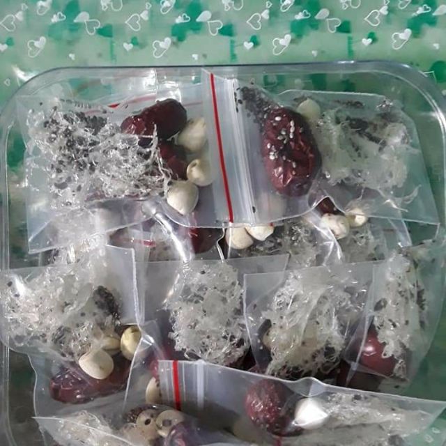 combo 7 túi yến gò công