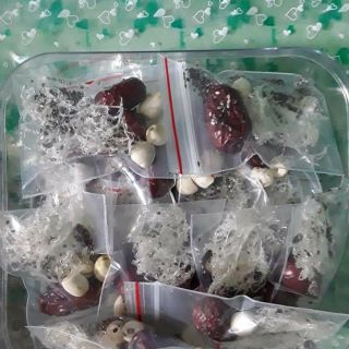 Combo 7 túi yến gò công