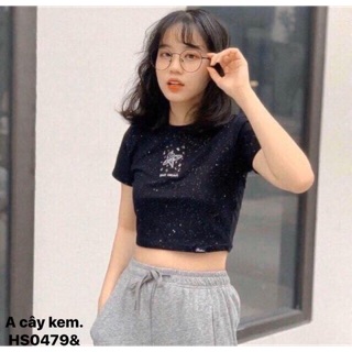 Áo crt kim tuyến in cây kem -HS