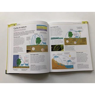 [STEM]Hàng nhập 3q - DK Help Your Kids