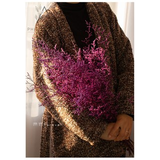 [HOA KHÔ] DRIED STATICE🌸Decor Nhà, Phụ Kiện Chụp Ảnh