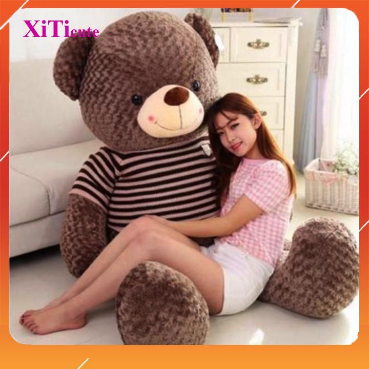 Gấu bông Teddy SIÊU TO dùng để làm quà tặng người thương, gối ôm đồ chơi cho bé hoặc vật trang trí trong nhà