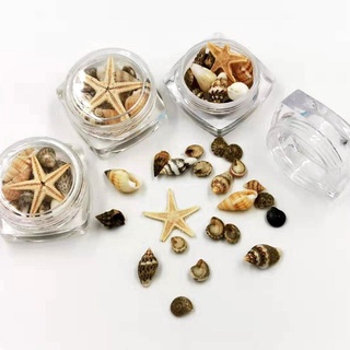 1 hộp phụ kiện vỏ sò sao biển hỗn hợp trang trí nến/resin trang sức- 9293store - 9293trangtri