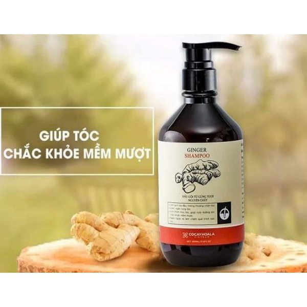 [SALE SẬP SÀN] Chai dầu gội Gừng tươi hữu cơ Cỏ cây hoa lá (500ml)