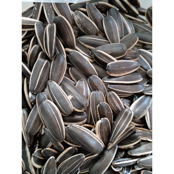 1kg Hại hướng Dương nguyên vị