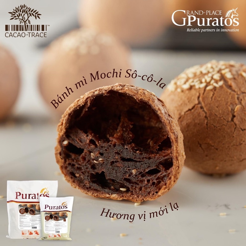 Bột Trộn Sẵn Bánh Mì Mochi Socola Puratos Grand-Place VN- 1Kg-4017986