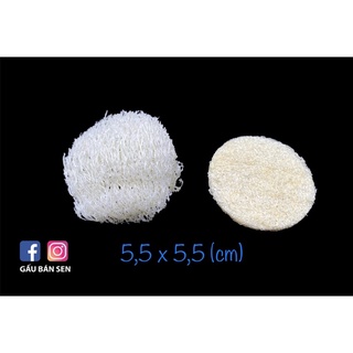 Bông tắm/rửa mặt xơ mướp