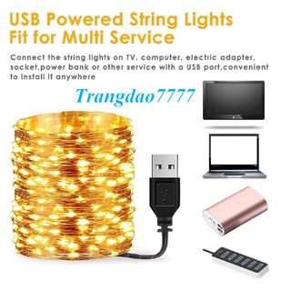 Xài Cổng U.S.B - Dài 10M 100 Bóng Đèn Đom Đóm Fairy Light Không Chớp Nháy Trang Trí Tiệc Noel Cắm Trại Đẹp Rẻ