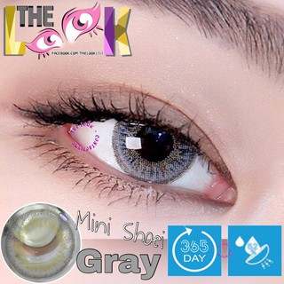 < MẪU MỚI CỦA THÁNG > CONTACT LENS MÀU GRAY - XÁM TÂY - ÁP TRÒNG - CÓ ĐỘ