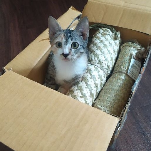 Giỏ đi chợ đan phối hoa văn hoạ tiết nanh sói quai đeo vai