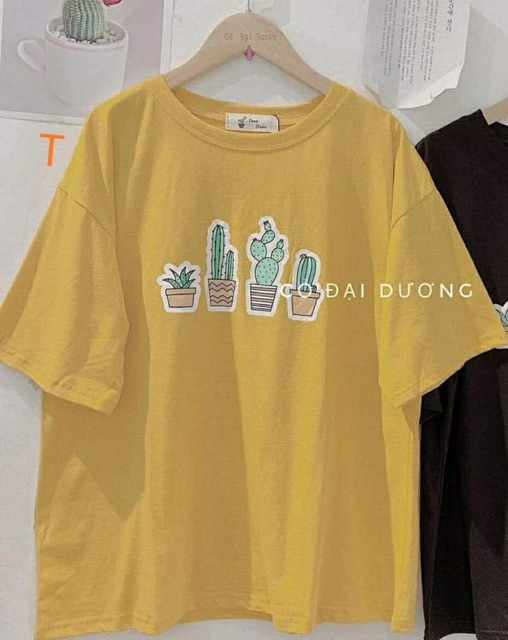 Áo 4 chậu sương rồng mới tici TTV654