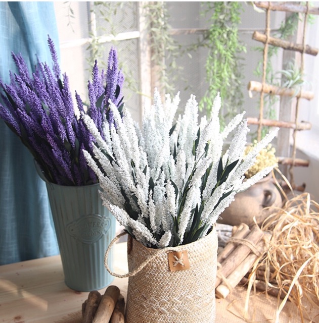 Hoa Oải Hương Lá Thẫm Hoa Lavender