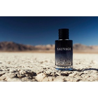 Nước hoa nam sauvageeee 100ml