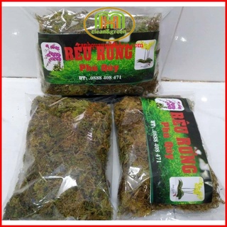 Rêu rừng trồng phong lan đã xử lí độ ẩm cao, giữ nước tốt, ức chế sự tăng trưởng của mầm bệnh