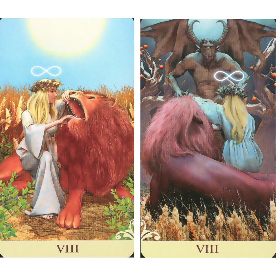 Bài Vice Versa Tarot Kit