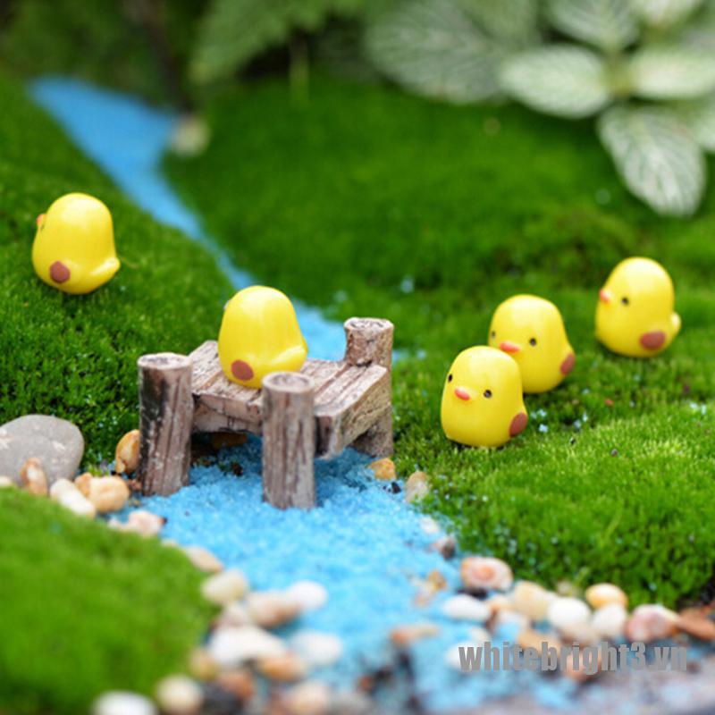 Set 3 / 5 Mô Hình Gà Con Mini Trang Trí Sân Vườn