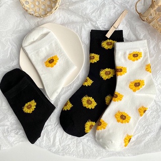 Tất Daisy Hoa Cúc Vàng Cổ Cao
