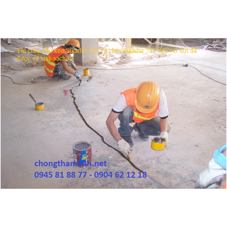 Sikadur 731-xử lý nứt bê tông