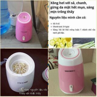 MÁY XÔNG MẶT HOA QUẢ MAOER