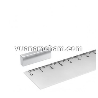 Nam châm viên trắng đất hiếm 30x10x5
