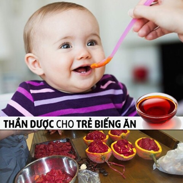 100ml Tinh dầu gấc nguyên chất