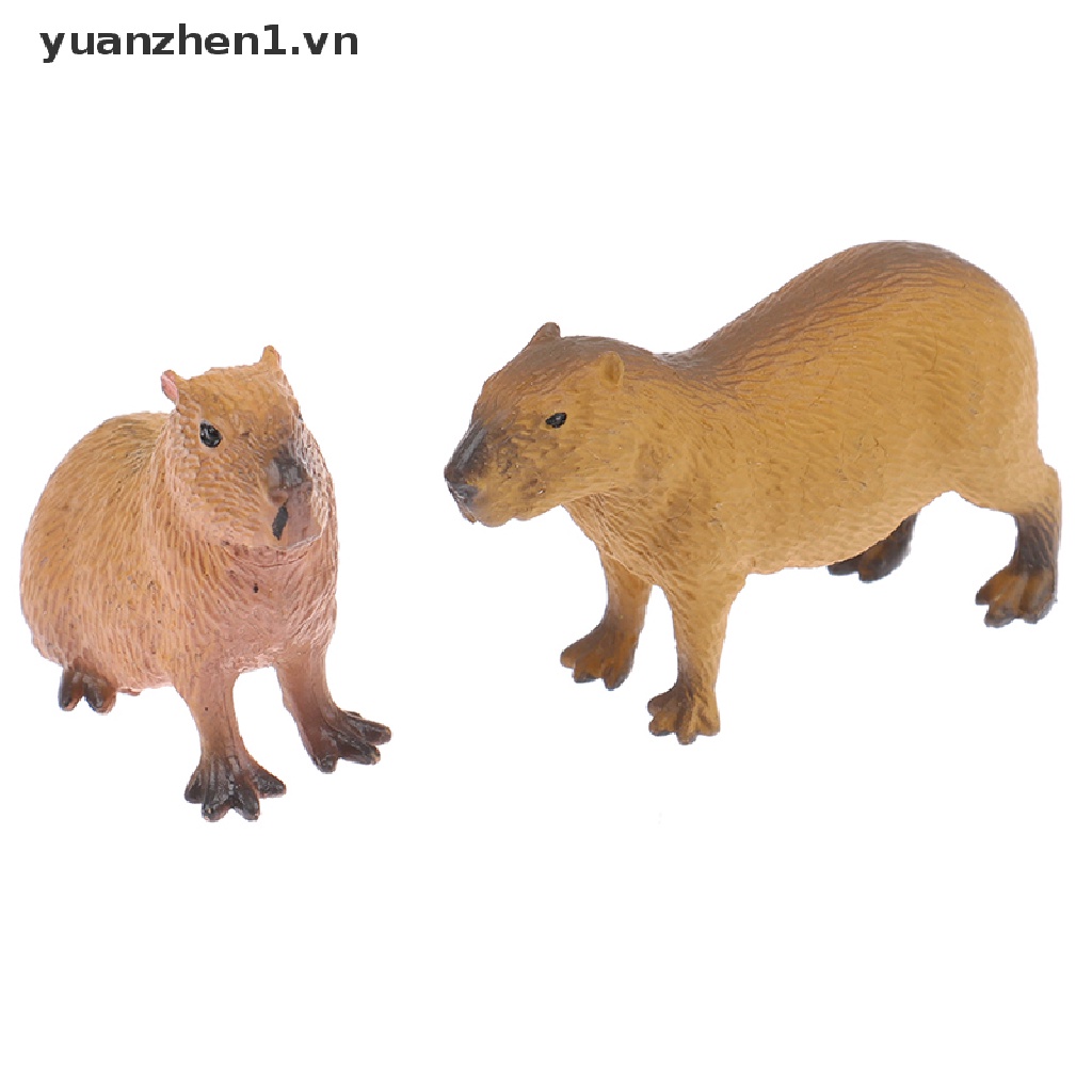 Mô Hình Đồ Chơi Sưu Tầm Capybara Hoang Dã Dễ Thương