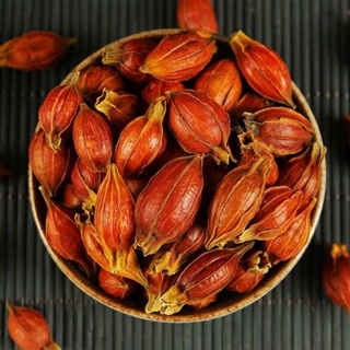 Hạt dành dành/ chi tử 100g