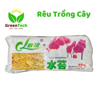 [ Giá Sỉ ] RÊU RỪNG TRỒNG LAN ( Hàng Đẹp )