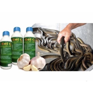 Dịch trùn quế Eel Q cho lươn (Thùng 2 chai 1L)