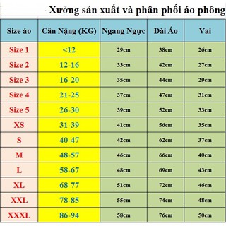 Áo thun nam POLO cao cấp