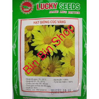 Set 02 gói Hạt giống hoa cúc vàng đẹp