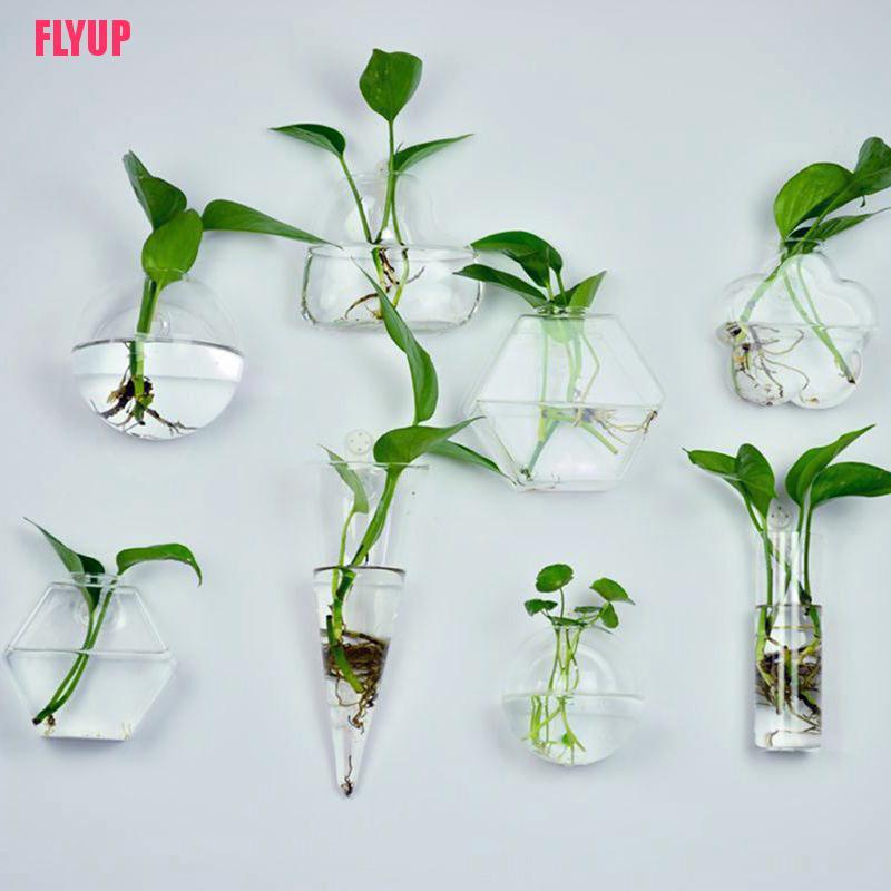 Bình Hoa Thủy Tinh Treo Tường