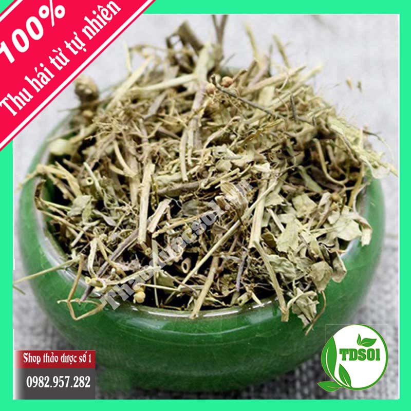 0.5kg diệp hạ châu ( chó đẻ răng cưa)
