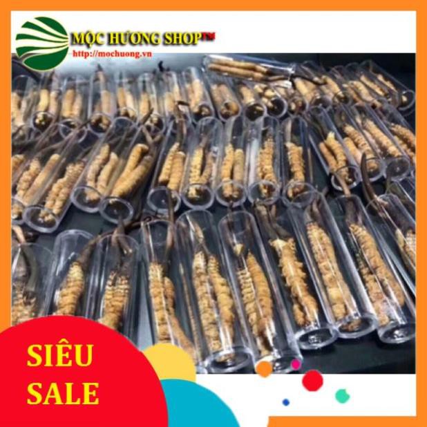 Đông Trùng Hạ Thảo Na Khúc - Tây Tạng