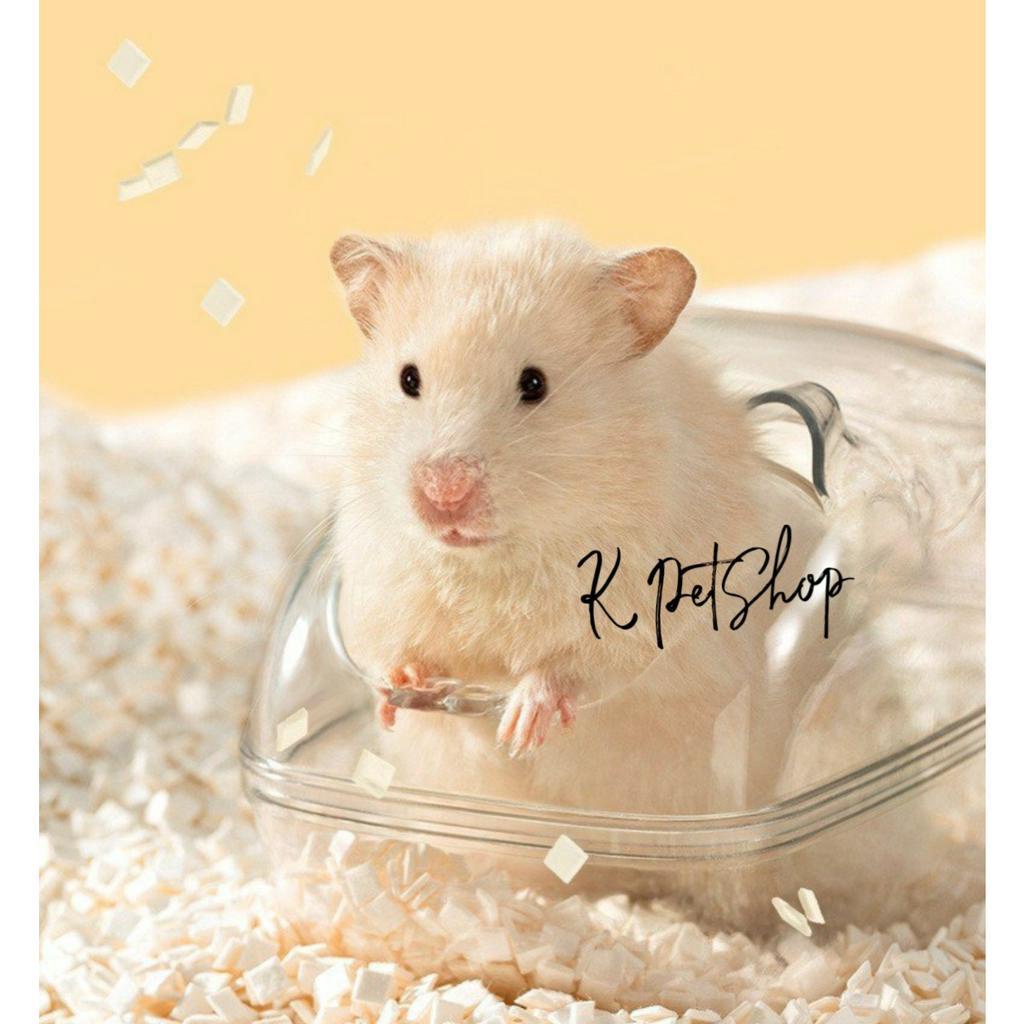 Lót Chuồng Hamster FREESHIP Giấy Sữa Vuông Không Bụi Siêu Thấm Lót Chuồng Hamster, WinterWhite, Bear, Robo, Rat ...