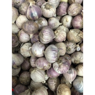 Tỏi cô đơn 500g