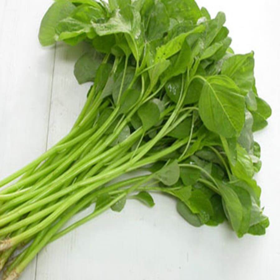 HẠT GIỐNG RAU DỀN XANH - GÓI 20 GRAM