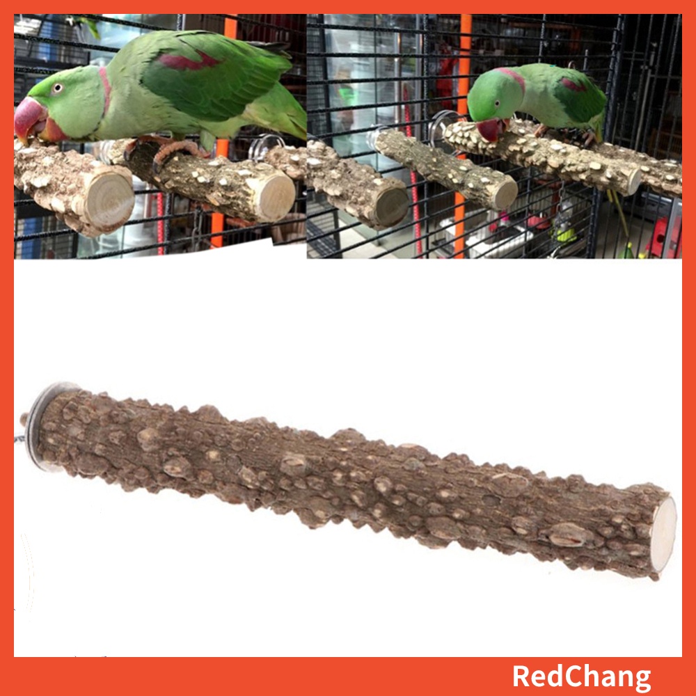 Thanh Đứng Cho Chim Vẹt Gắn Lồng Tiện Dụng Và Bền
