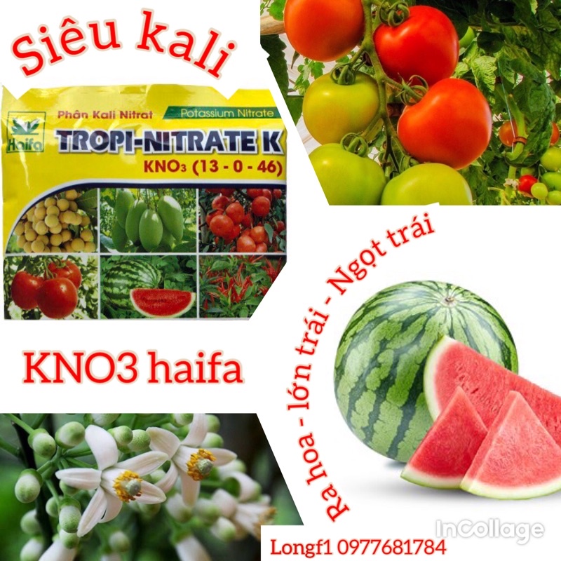 Phân kali KNO3  isareal, kali trắng gói 100g giúp tăng cường ra hoa, đậu quả, lớn trái, tăng độ ngọt, đẹp mã