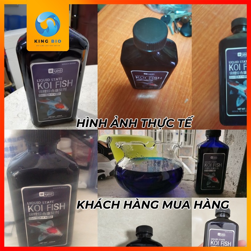 Yee Koi Fish thuốc chuyên đặc trị bệnh nấm, thối mang, thối đuôi và ngoài da cho cá Koi