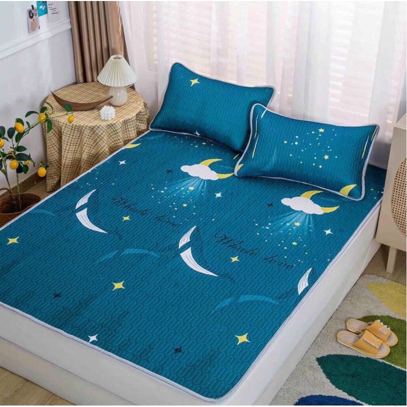 CHIẾU ĐIỀU HÒA TENCEL LATEX CAO SU NON in hình 3D-5D siêu mát + 2 vỏ gối