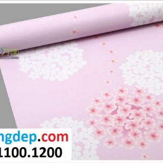 7m Giấy dán tường hoa tú cầu hồng