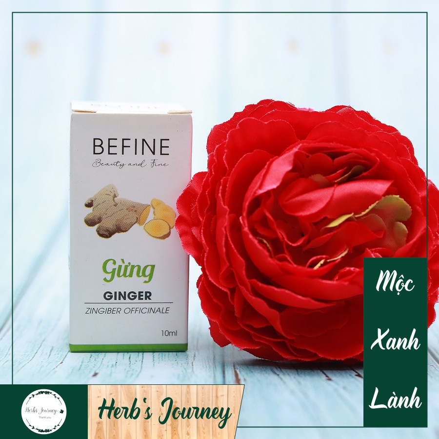 Tinh dầu Gừng cao cấp - BEFINE - Tinh dầu tự nhiên nguyên chất - Giữ ấm, phòng bệnh đường hô hấp, thơm phòng