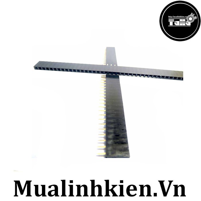 Jump Cái Đơn 1x40 2.54 Loại Thẳng | BigBuy360 - bigbuy360.vn