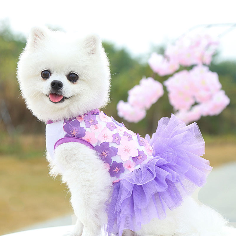 Đầm Công Chúa Xuân Hè Bằng Cotton Nguyên Chất Phối Ren Thoải Mái Hợp Thời Trang Cho Thú Cưng