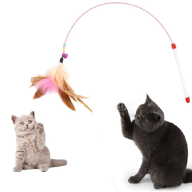 Đồ chơi gậy hạt gắn lông vũ có chuông vui nhộn cho mèo cưng